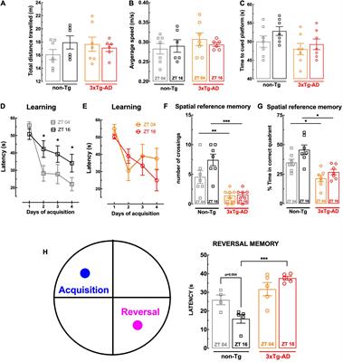 Simultaneous Alteration of the Circadian Variation of Memory, Hippocampal Synaptic Plasticity, and Metabolism in a Triple Transgenic Mouse Model of Alzheimer’s Disease